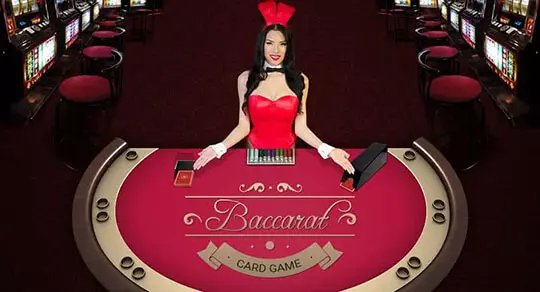 nextbet casino